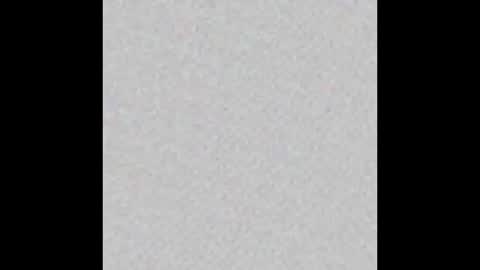 Ely online show from January 22, 2025, 11:23 am