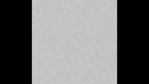 Ely online show from January 25, 2025, 11:23 am