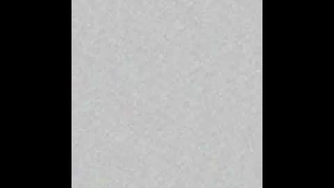 Ely online show from February 3, 2025, 11:31 am