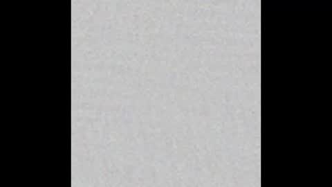 Ely online show from February 12, 2025, 12:01 pm