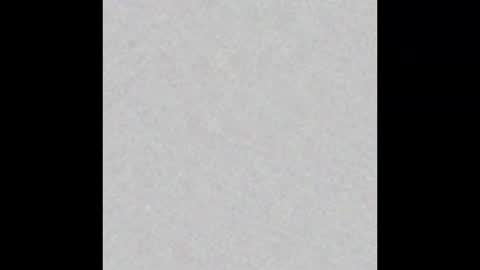 Ely online show from February 17, 2025, 11:23 am