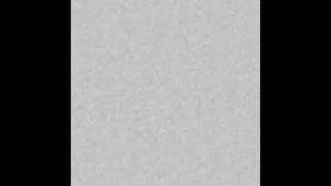 Ely online show from February 18, 2025, 11:22 am