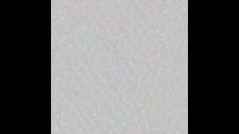 Ely online show from February 26, 2025, 11:20 am