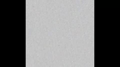 Ely online show from March 3, 2025, 11:33 am