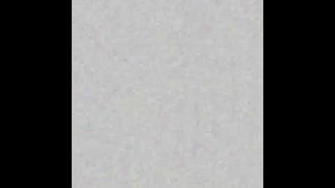 Ely online show from March 5, 2025, 11:28 am