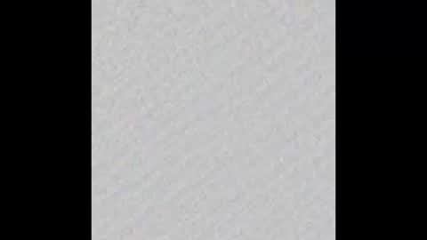 Ely online show from March 12, 2025, 11:31 am