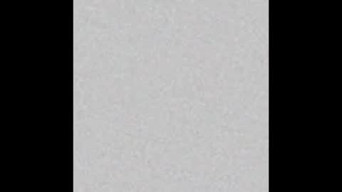 Ely online show from September 11, 2025, 11:43 am