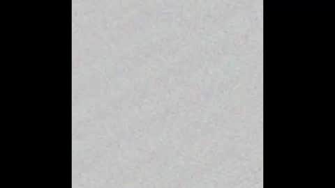 Ely online show from September 15, 2025, 11:54 am