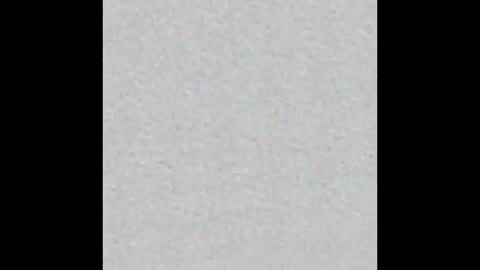 Ely online show from October 6, 2025, 11:40 am