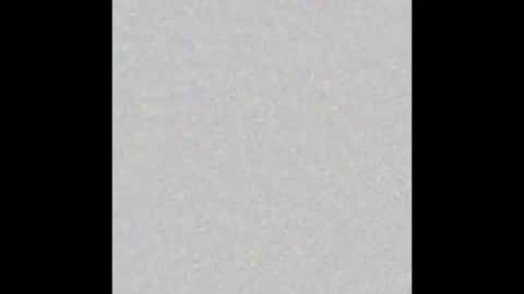 Ely online show from October 8, 2025, 12:25 pm