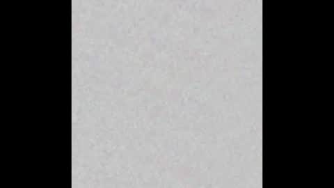 Ely online show from October 14, 2025, 11:22 am