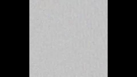 Ely online show from October 17, 2025, 11:35 am