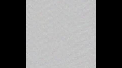 Ely online show from November 4, 2025, 11:20 am