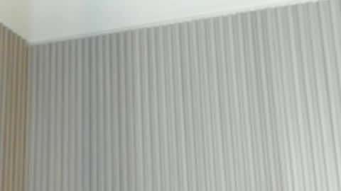 Snapshot of emelie_89 chatting on April 21, 2026, 11:49 am emelie_89 online show from April 21, 2026, 11:49 am