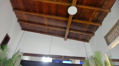 Emily  online show from February 26, 2026, 10:58 am