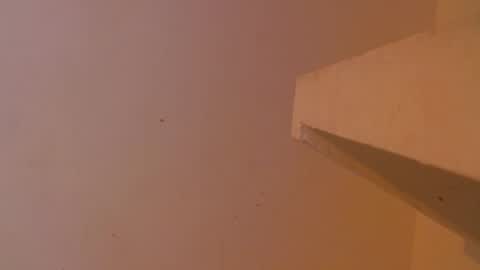 Snapshot of emily308876 chatting on May 5, 2026, 12:35 pm emily308876 online show from May 5, 2026, 12:35 pm