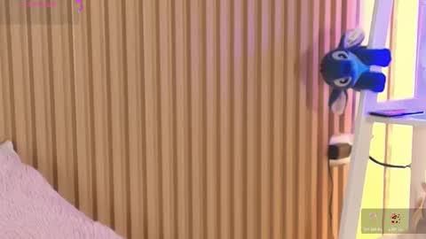 Snapshot of emily_sweett12 chatting on March 20, 2026, 12:32 pm Emily online show from March 20, 2026, 12:32 pm