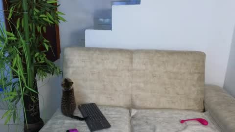 Snapshot of emma_blue_ chatting on October 20, 2025, 3:29 am Emma Blue modelo independiente online show from October 20, 2025, 3:29 am