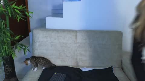 Snapshot of emma_blue_ chatting on October 28, 2025, 4:05 am Emma Blue modelo independiente online show from October 28, 2025, 4:05 am