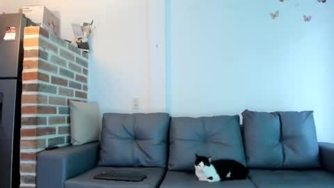 Emma Brant online show from February 18, 2026, 12:34 pm