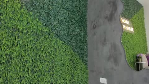 Emmiily online show from January 31, 2025, 11:13 pm