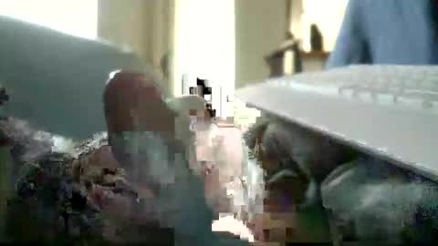 encormoi online show from November 11, 2025, 8:47 am