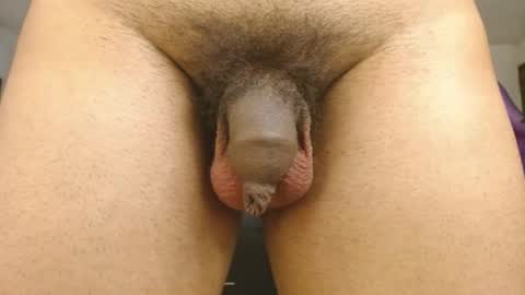 Engiel phoenix instagram engiel 13 online show from January 31, 2025, 11:46 am