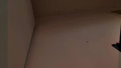 Snapshot of enzo_steel chatting on November 3, 2025, 7:37 pm enzo_steel online show from November 3, 2025, 7:37 pm