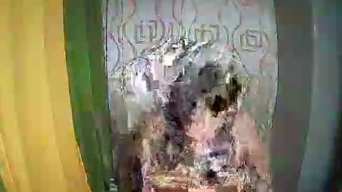 Snapshot of ervanamorge chatting on February 11, 2026, 5:07 pm Ervana online show from February 11, 2026, 5:07 pm