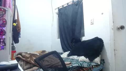 Snapshot of esjrobles chatting on September 21, 2025, 7:48 pm Esteban online show from September 21, 2025, 7:48 pm
