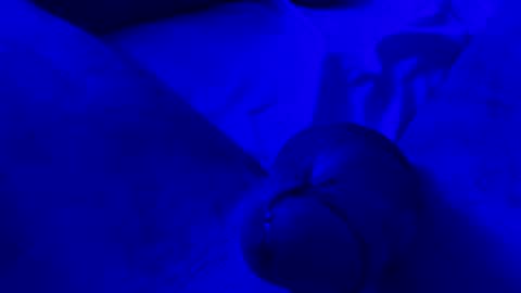 Chpala online show from April 13, 2026, 6:52 am