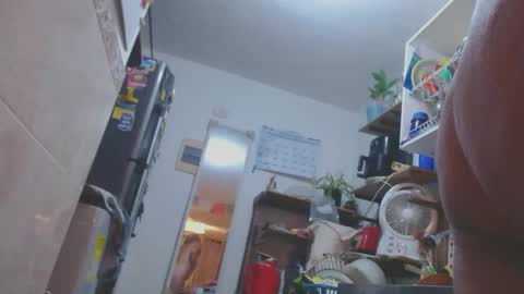 estelamaris online show from March 11, 2025, 12:11 am