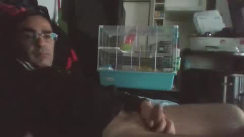 esthelion online show from November 16, 2025, 11:16 am