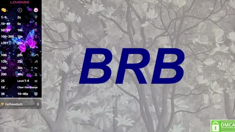 Snapshot of eva__summers chatting on January 28, 2025, 4:08 pm Eva online show from January 28, 2025, 4:08 pm