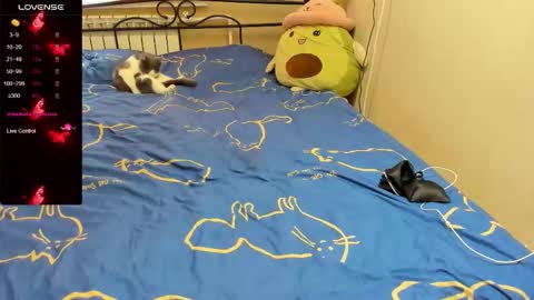 Eva online show from November 2, 2025, 10:28 am