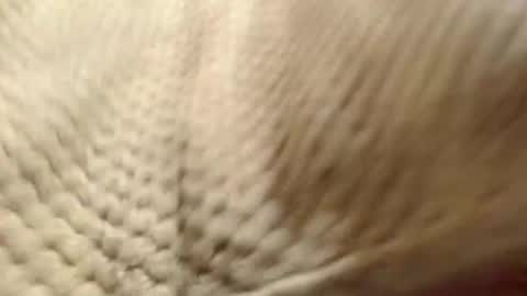 EVA  online show from December 14, 2024, 7:29 am