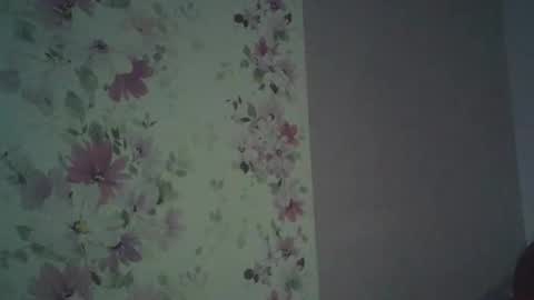 Snapshot of eveliina_shy chatting on February 13, 2026, 5:36 am Evelina online show from February 13, 2026, 5:36 am