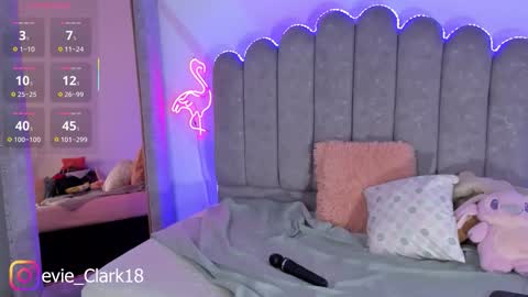 My name is Evie  nice to meet you  really get to know me better private is open  online show from February 21, 2026, 2:01 am