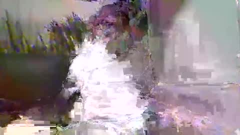 Snapshot of ewaldwillems99 chatting on February 9, 2026, 3:49 pm Naaktloper online show from February 9, 2026, 3:49 pm