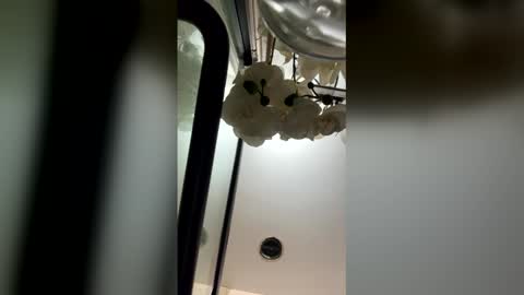 Snapshot of fabiolacal11 chatting on February 28, 2026, 5:52 am fabiolacal11 online show from February 28, 2026, 5:52 am