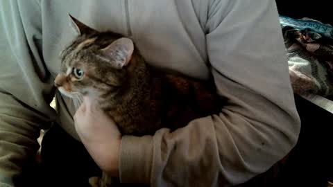 Fabius online show from February 5, 2025, 8:54 am