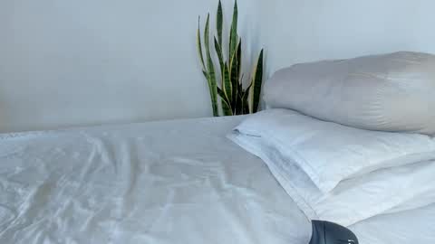 -  A N D E R online show from November 4, 2025, 6:29 pm