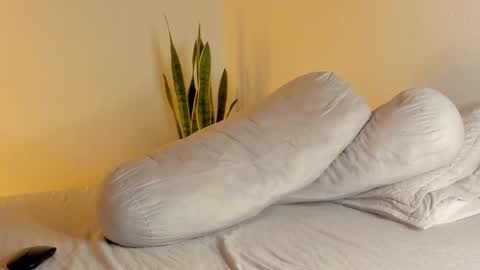 -  A N D E R online show from January 13, 2026, 11:10 pm