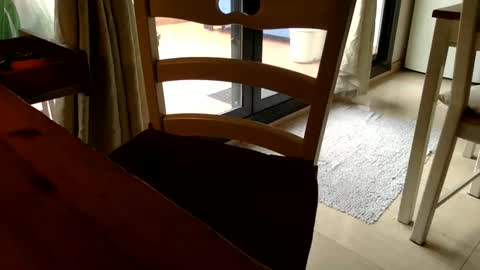 Snapshot of fabro45 chatting on March 6, 2025, 3:13 pm Fabro online show from March 6, 2025, 3:13 pm