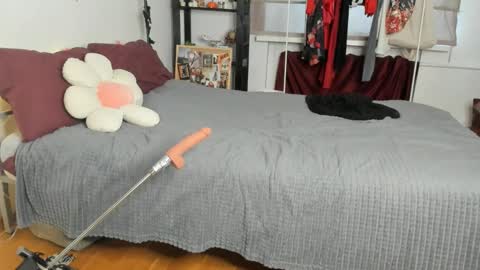 Kai online show from February 19, 2026, 1:29 pm