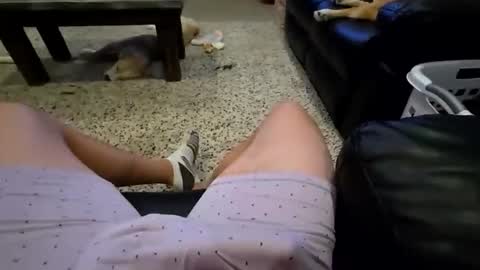 Snapshot of faker1414 chatting on February 2, 2026, 2:10 am faker1414 online show from February 2, 2026, 2:10 am