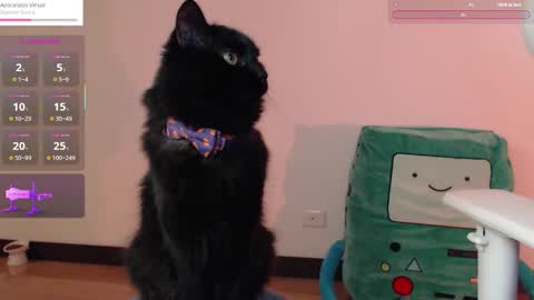 Snapshot of fantasma_gei chatting on October 25, 2025, 1:13 am Fantasma. online show from October 25, 2025, 1:13 am