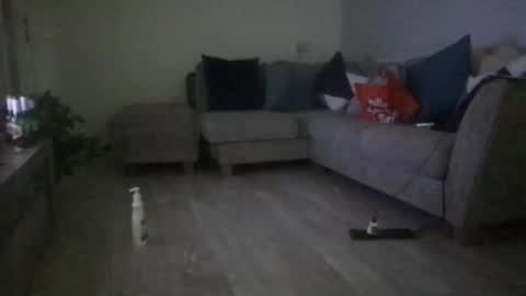 Snapshot of fantasticdeee chatting on March 6, 2025, 6:30 am fantasticdeee online show from March 6, 2025, 6:30 am