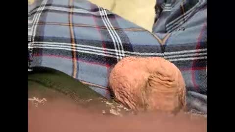 Snapshot of fartinmymouthplz chatting on November 18, 2025, 3:45 am fartinmymouthplz online show from November 18, 2025, 3:45 am