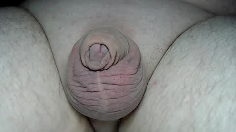 Snapshot of fatmanscock chatting on March 2, 2026, 7:26 am Fatmanscock online show from March 2, 2026, 7:26 am